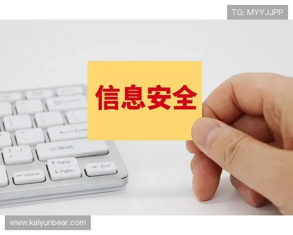 开云网站登录安全性评估：如何保护你的个人信息不被泄露