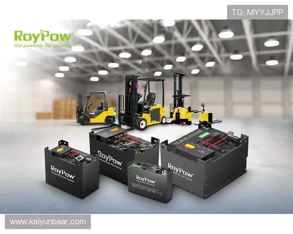 开云体育国际：用户体验优化策略与客户服务提升方案详解