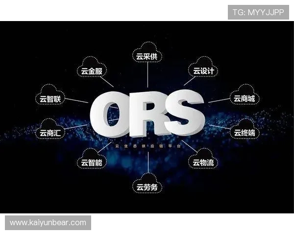 云开正规网址官方入口，全面保障账号安全与游戏体验的可靠平台推荐